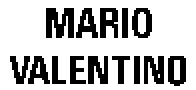 Mẫu nhãn hiệu MARIO VALENTINO