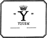 Mẫu nhãn hiệu Y YQUEM