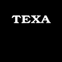 Mẫu nhãn hiệu TEXA
