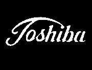 Mẫu nhãn hiệu TOSHIBA
