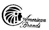 Mẫu nhãn hiệu C AMERIEAN BRANDS