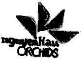 Mẫu nhãn hiệu nguyenHau ORCHIDS