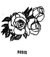 Mẫu nhãn hiệu ROSES