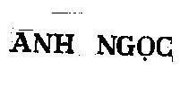 Mẫu nhãn hiệu ánh Ngọc
