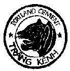 Mẫu nhãn hiệu PORTLAND CEMENT, Tràng Kênh - số đơn VN-4-1991-04693