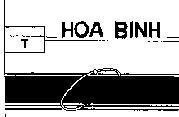 Mẫu nhãn hiệu Hoà Bình T