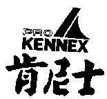 Mẫu nhãn hiệu PRO KENNEX