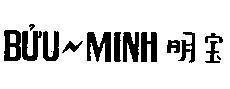 Mẫu nhãn hiệu Bửu Minh
