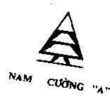 Mẫu nhãn hiệu Nam Cường A