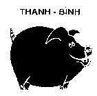 Mẫu nhãn hiệu Thanh Bình