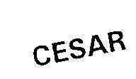 Mẫu nhãn hiệu CESAR