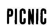 Mẫu nhãn hiệu PICNIC