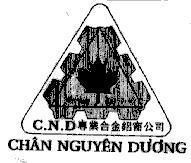 Mẫu nhãn hiệu Chân Nguyên Dương C.N.D