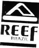 Mẫu nhãn hiệu REEF BRAZIL