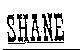 Mẫu nhãn hiệu SHANE