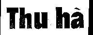 Mẫu nhãn hiệu Thu Hà