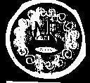 Mẫu nhãn hiệu MR SINCE 1994