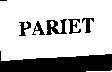 Mẫu nhãn hiệu PARIET