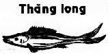 Mẫu nhãn hiệu THĂNG LONG