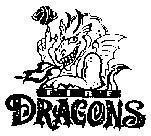 Mẫu nhãn hiệu DRAGONS FIRE
