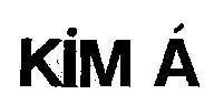 Mẫu nhãn hiệu Kim á