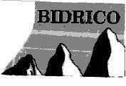 Mẫu nhãn hiệu BIDRICO