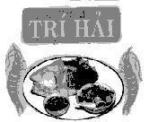 Mẫu nhãn hiệu Trí Hải