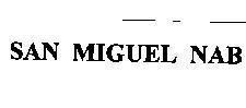 Mẫu nhãn hiệu SAN MIGUEL NAB