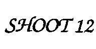 Mẫu nhãn hiệu SHOOT 12