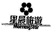 Mẫu nhãn hiệu MORNING STAR