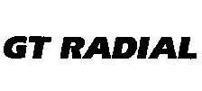 Mẫu nhãn hiệu GT RADIAL