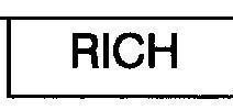 Mẫu nhãn hiệu RICH