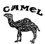 Mẫu nhãn hiệu CAMEL