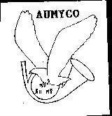Mẫu nhãn hiệu AUMYCO Âu Mỹ