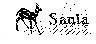 Mẫu nhãn hiệu SAOLA