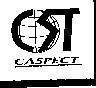 Mẫu nhãn hiệu CST CASPECT