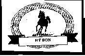 Mẫu nhãn hiệu HYSON