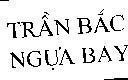 Mẫu nhãn hiệu TRầN BắC NGựA BAY