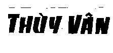 Mẫu nhãn hiệu Thuỳ Vân