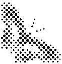 Mẫu nhãn hiệu Nhãn hiệu VN-4-1996-31317