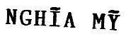 Mẫu nhãn hiệu NGHĩA Mỹ