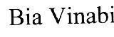 Mẫu nhãn hiệu BIA VINABI
