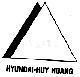 Mẫu nhãn hiệu HYUNDAI HUY HOANG