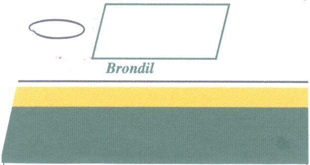 Mẫu nhãn hiệu Brondil