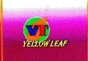 Mẫu nhãn hiệu VT YELLOW LEAF