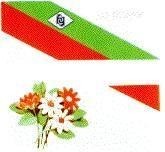 Mẫu nhãn hiệu HG PHARM GYNOPAX