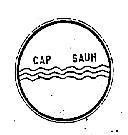 Mẫu nhãn hiệu CAP SAUH