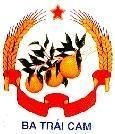 Mẫu nhãn hiệu BA TRáI CAM
