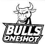 Mẫu nhãn hiệu BULLS ONESHOT