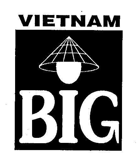 Mẫu nhãn hiệu BIG VIET NAM
